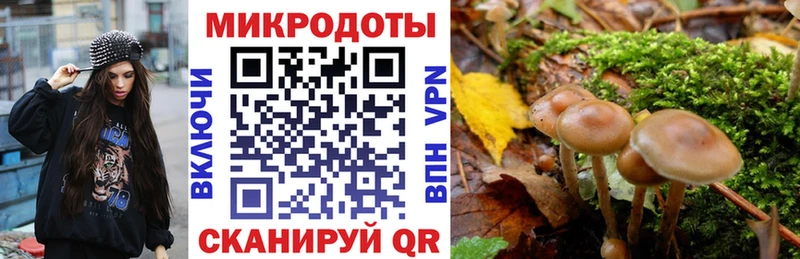 Галлюциногенные грибы Psilocybe  Купить  Донской 